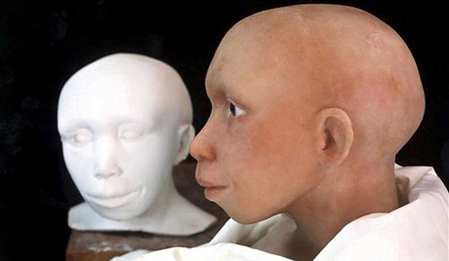 neanderthal genome neanderthal genome